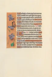 Hours of Queen Isabella the Catholic, Queen of Spain: Fol. 235v