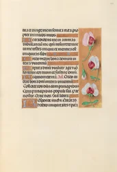 Hours of Queen Isabella the Catholic, Queen of Spain: Fol. 237r