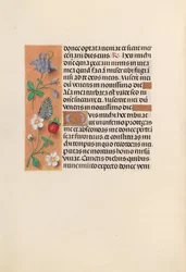 Hours of Queen Isabella the Catholic, Queen of Spain: Fol. 238v