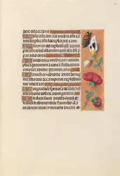 Hours of Queen Isabella the Catholic, Queen of Spain: Fol. 249r