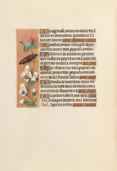 Hours of Queen Isabella the Catholic, Queen of Spain: Fol. 250v, c. 1500