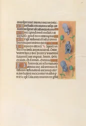 Hours of Queen Isabella the Catholic, Queen of Spain: Fol. 256r, c. 1500