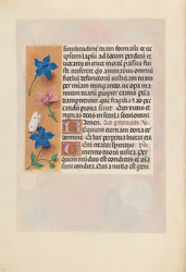 Hours of Queen Isabella the Catholic, Queen of Spain: Fol. 25v, c. 1500