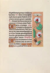 Hours of Queen Isabella the Catholic, Queen of Spain: Fol. 35r, c. 1500