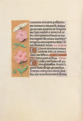 Hours of Queen Isabella the Catholic, Queen of Spain: Fol. 47v