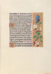 Hours of Queen Isabella the Catholic, Queen of Spain: Fol. 48r, c. 1500