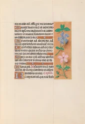 Hours of Queen Isabella the Catholic, Queen of Spain: Fol. 62r, c. 1500