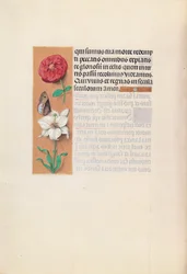 Hours of Queen Isabella the Catholic, Queen of Spain: Fol. 76v