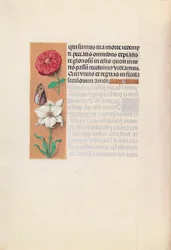 Hours of Queen Isabella the Catholic, Queen of Spain: Fol. 76v