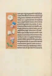 Hours of Queen Isabella the Catholic, Queen of Spain: Fol. 95v
