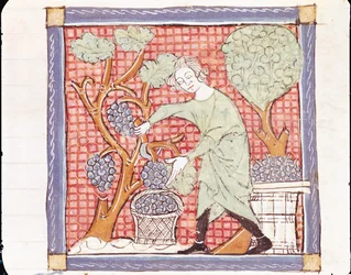 September: The Harvest