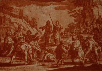 The Israelites Gathering Manna, illustration from a Bible (sepia engraving)