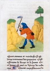 The Book of Simple Medicines - Translation into French from the 12th Century Latin Manuscript of Matthaeus Platearius