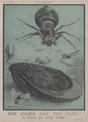The Spider and the Flies!