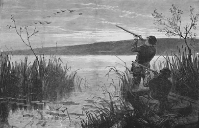 Duck-Shooting on Saratoga Lake, 1973, 1883