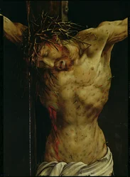 The Crucifixion from the Isenheim Altarpiece (detail of Christ