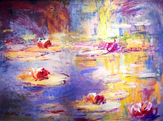 Colorful Water Lilies