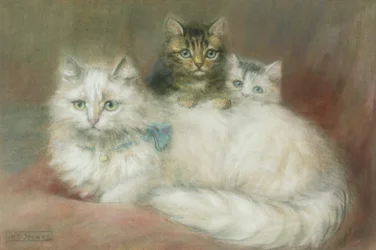 A Persian Cat and Her Kittens