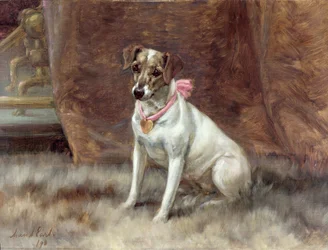 The Pink Bow, 1898