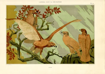 Eagles in Art Nouveau Naturalistic Depiction