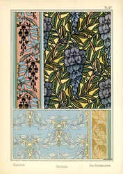 The Glycine