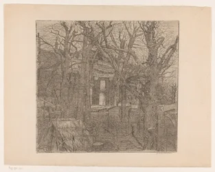 Trees Around a House