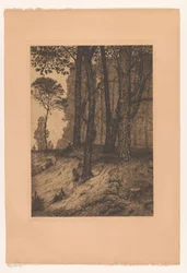 Forest Edge