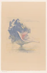 Shell