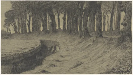 Trees along a Road over a Dike or Embankment