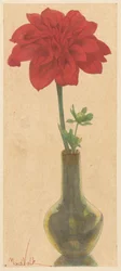 Glass Vase with Red Dahlia