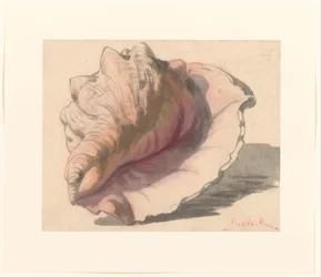 Shell