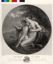 The Education of Cupid