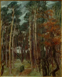 Hermsdorf Forest on a Gray Day