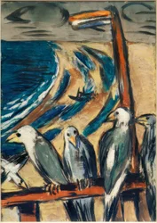 Seagulls in the Storm