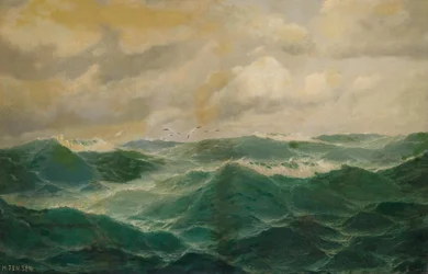 Seagulls Over Choppy Seas