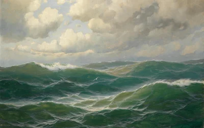 Seagulls over the Waves