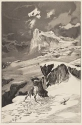 Fighting Centaurs