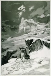 Fighting Centaurs