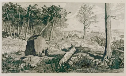 Landscape with trees