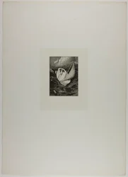 Rescue, Plate Four from A Glove