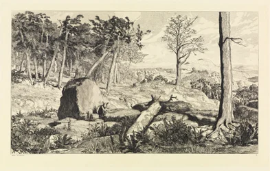 Simplicius in the Forest Wilderness (Intermezzi, Opus IV, Plate 10)
