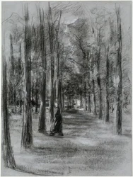 Avenue in Laren