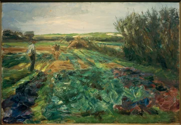 The Cabbage Field (Cabbage Field in Noordwijk)