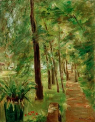 The Birch Avenue in Wannsee Garden Facing East
