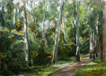 The Birch Avenue in Wannsee Garden to the Southwest