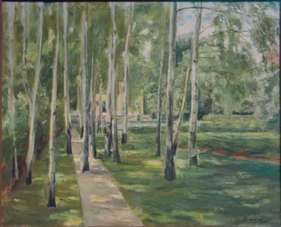 The Birch Avenue in Wannsee Garden Facing West