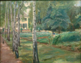 The Birch Avenue in Wannsee Garden Facing West