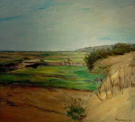 Dune Landscape