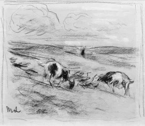 Grazing Goats in the Dunes