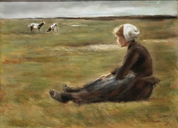 In the Field